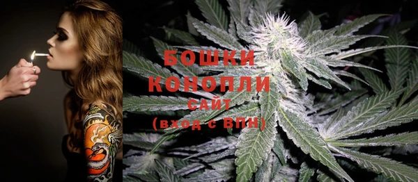 хмурый Семилуки