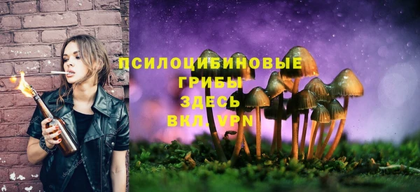 ALPHA PVP Абинск