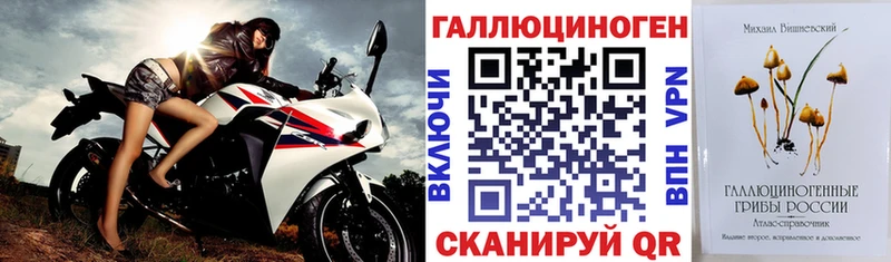 Галлюциногенные грибы Psilocybine cubensis  купить закладку  Абинск 