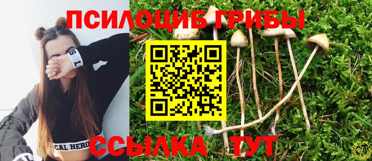 Галлюциногенные грибы прущие грибы  Галлюциногенные грибы GOLDEN TEACHER  Вход с VPN  Абинск 