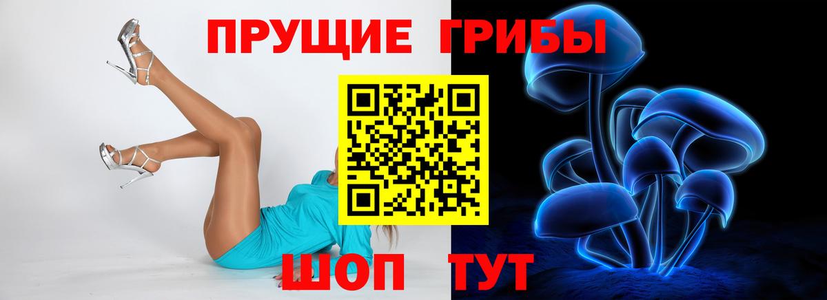 Псилоцибиновые грибы ЛСД  Псилоцибиновые грибы GOLDEN TEACHER  Абинск  Вход с VPN 