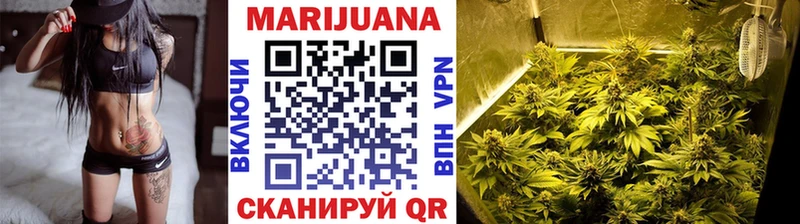 Каннабис сатива  Абинск 